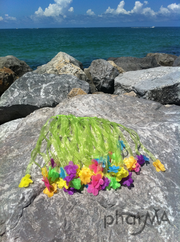 DIY Hula Skirt