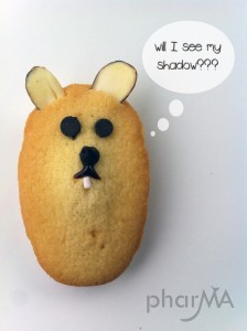 Groundhog