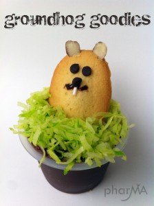 Groundhog