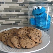 Cookie Monster