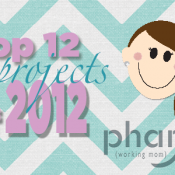 Top 12 Craft Projects of 2012