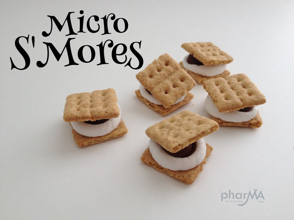 tiny s'mores made in the microwave